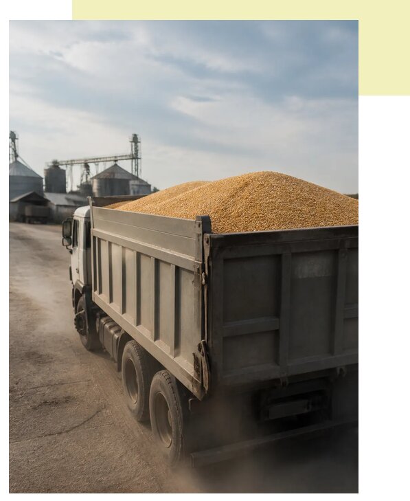 Перевозка сельхозпродукции навалом в Южное-Сахалинск по цене от 3099 р. | Агросервис-Южн