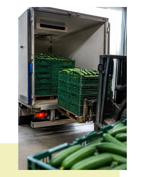 Перевозка огурцов в Южное-Сахалинск с сохранением свежести и качества